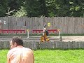 joutes bayard vs viking