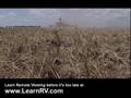 Remote Viewing Killer Fungus (Ed Dames)