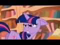 Equestrian Idiot