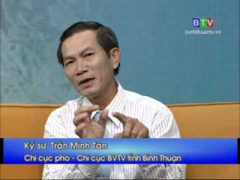 Nâng Cao Chất Lượng Trái Thanh Long