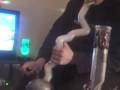 videos de bong toke montage