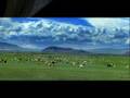 The melody of nature