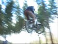 a day at the local jumps