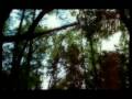 videos de Un fantasmita