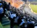 Final do jogo Corinthians 3 Ponte Preta 0