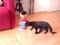TMX Ernie fighting Cat