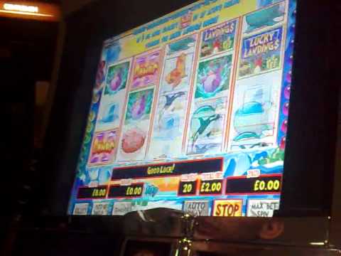 gala bingo gala bingo