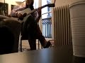 Thao and Willis Improv some new Songs
