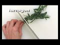 aromatic herbs: uses