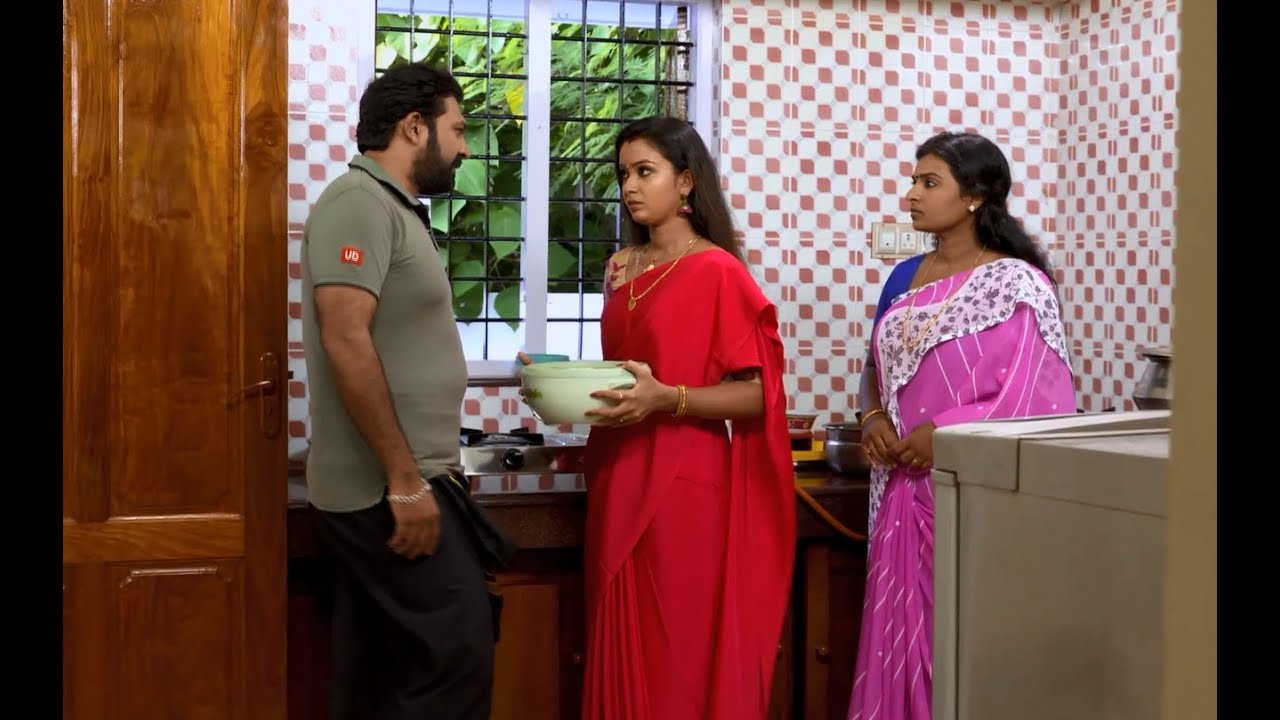 Sthreepadham June 22,2016 Epi 321 TV Serial