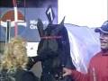 videos de 3YO Filly Trot Final.wmv