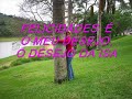 felicidade(Paulo Ricardo felicidade versao  love of may life