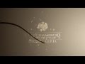 Click to View : Eventi Natale 2010 a Caserta