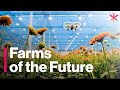 The Futuristic Farms That Will Feed the World | Freethink | Future of Food