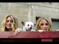 Mary-Kate and Ashley Olsen