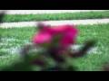 Test Footage from Canon Vixia HF S10