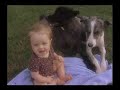 Baptist Smart Medicine Clip 42f - Kids and Pets