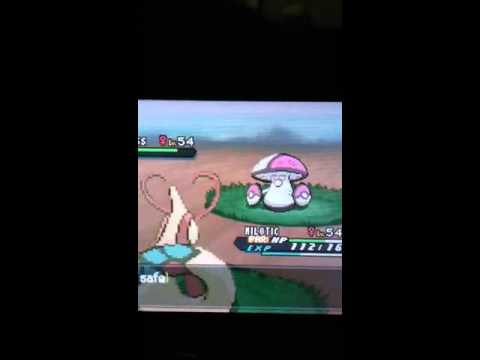 how to find tm flamethrower in pokemon white