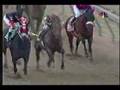 Afleet Alex Preakness Stakes 2005 + overview of near fall!