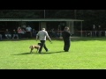 KNPV Hunter  K9