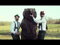 Austrian Filter House - Auf Babent: