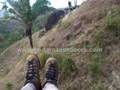 Panama Canopy Adventure Panama Outdoors