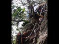 videos de Gunung Tahan Expedition