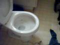 Spike The Toilet Cleaning Dog Part 4