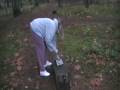 videos de Raccoon #3 - Part 2 - Dec. 1st 8 am