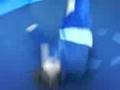 trampoline trick's / bla bla di