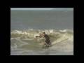 skim body surf Guyane - Novembre 2008 skim body surf Guyane - Novembre 2008