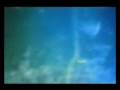 UFO documenti ufficiali
