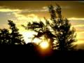videos de Mira Panamá...Conserva Panamá