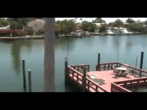 Dolphin Sightings
