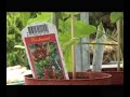 Tips en wetenswaardigheden voor uw tuin, balkon, terras en vijver. Gerard van Run, van Tuincentrum van Run uit Vught vertelt er over.De programma's zijn gemaakt in samenwerking met VTV1 en worden daar wekelijks uitgezonden.
