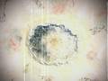 JOHNS HOPKINS UNIVERSITY - Art exhibition - In memory