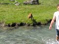 lapo in montagna