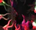 Exile, skazi, Omi, Void,Tube,Paranormal Attack