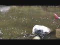 Jet boating 3 compilation Jet boating 3 compilation