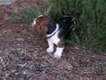 videos de Jasper & Race Car - Nov 17th - 2