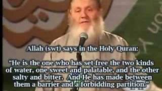 a catholic tv asked yusuf estes why he converted to islam