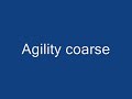 Runescape agility coarse