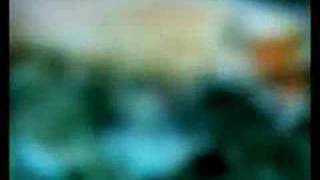 Boards of Canada - A is to B as B is to C