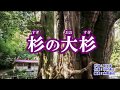 『杉の大杉』三山ひろし　カラオケ　2019年7月3日発売