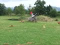 Mistrovstv� Moravy v coursingu 2008