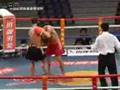 CHINA Sanda wang-7 (Liu Hailong VS Zheng Yuhao)