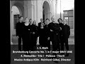 4. Menuetto - Trio I (1:13) - Polacca...