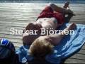 videos de Den där Björnen