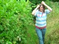 suepj - The stripes walk by Triffids suepj - The stripes walk by Triffids