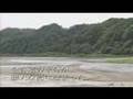 Nibutani Dam buried with mud.(埋まりゆく二風谷ダム)